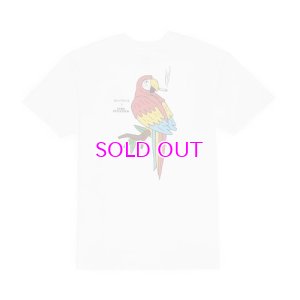 画像2: GOOD WORTH & CO PARROT TEE