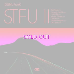 画像1: DAM-FUNK / STFU II 