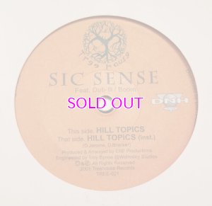 画像1: Sic Sense ‎– Hill Topics  7inch  