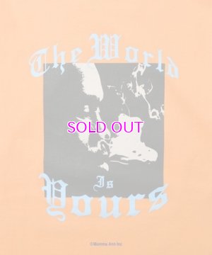 画像3: LFYT x NAS / WORLD IS YOURS L/S TEE 