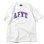 画像1: LFYT ARCH LOGO TEE (1)