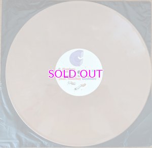 画像5: AESOP ROCK & BLOCKHEAD / GARBOLOGY "LP" (randomly colored vinyl)