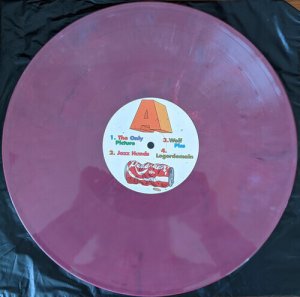 画像4: AESOP ROCK & BLOCKHEAD / GARBOLOGY "LP" (randomly colored vinyl)