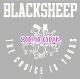BLACK SHEEP /CHOICE IS YOURS 7"