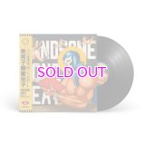 KASHI DA HANDSOME / HANDSOME HONEY BEATZ INSTRUMENTAL COLLECTION VOL.2 "LP"