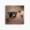 画像2: MICHI / DIRTY TALK (LP) (CREAM COLOR VINYL) "LP" (2)