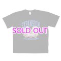 EXPANSION NY / Tropical USA Tee