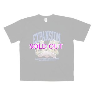 画像1: EXPANSION NY / Tropical USA Tee