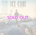  ICE CUBE / MAN DOWN  "2LP"