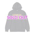 EXPANSION NY / PARAGON Hoodie