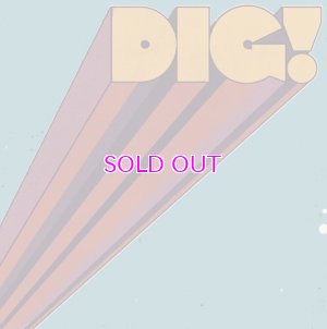 画像1: MAMAS GUN / DIG! "LP"