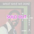 MIKE JAMES KIRKLAND / WHAT HAVE WE DONE 7"