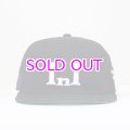 EXPANSION NY / InI BB cap