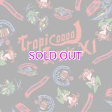 DJ MURO TROPICOOL BOOGIE XI