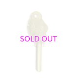 GOOD WORTH & CO. BEST WISHES KEY JAPAN-H760