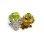 画像1: GOOD WORTH & CO. TROPICS PIN (1)