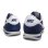 画像3: NIKE CORTEZ BASIC NYLON '06 317249 413  (3)