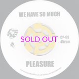 PLEASURE WE HAVE SO MUCH / THE BLACKBYRDS BLACKBYRD'S THEME / 45"