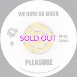 PLEASURE WE HAVE SO MUCH / THE BLACKBYRDS BLACKBYRD'S THEME / 45"