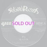Q.A.S.B. FLY / JAGUAR (INSTRUMENTAL) 45"