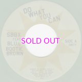 SBBX FEAT. BLU & BOOTIE BROWN / DO WHAT YOU CAN / 45"