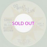 SBBX FEAT. BLU & BOOTIE BROWN / DO WHAT YOU CAN / 45"