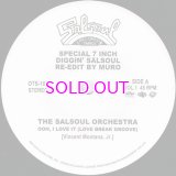 DIGGIN' SALSOUL - RE-EDIT BY MURO VOL.1