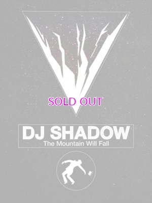 画像3: DJ SHADOW THE MOUNTAIN WILL FALL 2LP