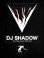画像3: DJ SHADOW THE MOUNTAIN WILL FALL 2LP (3)