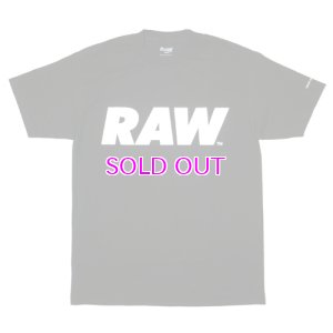 画像1: RAW LOGO PRIMARY T-SHIRT