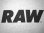 画像2: RAW LOGO PRIMARY T-SHIRT (2)