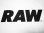 画像2: RAW LOGO PRIMARY T-SHIRT (2)