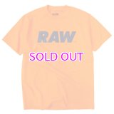 RAW LOGO PRIMARY TEE