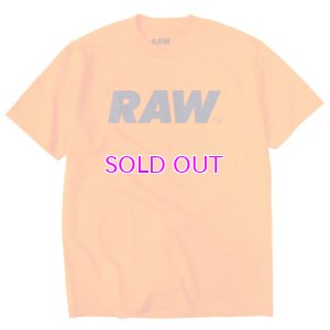 画像1: RAW LOGO PRIMARY TEE