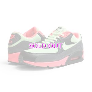 画像1: NIKE AIR MAX 90 ESSENTIAL 537384-303