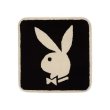 画像1: GW X Playboy Rug (1)