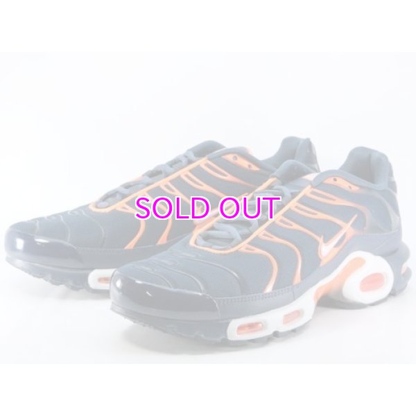 画像2: NIKE AIR MAX PLUS 852630-403 (2)