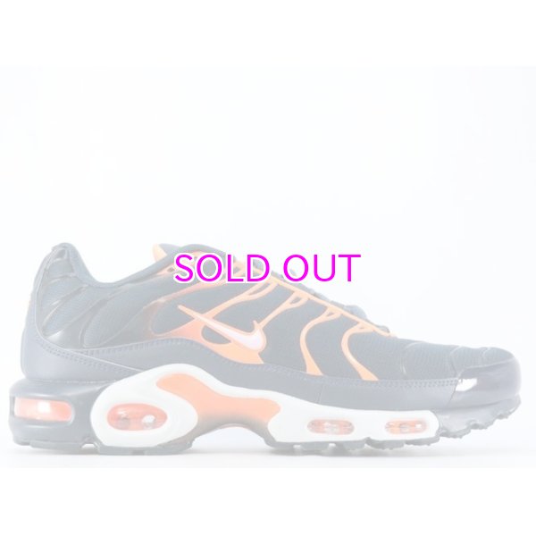 画像1: NIKE AIR MAX PLUS 852630-403 (1)