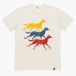 画像1: BY PARRA t-shirt horse club (1)