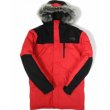 画像1: The North Face  BDFD DOWN PARKA (1)