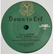 画像1: Down To Erf / Uprise 7inch   (1)