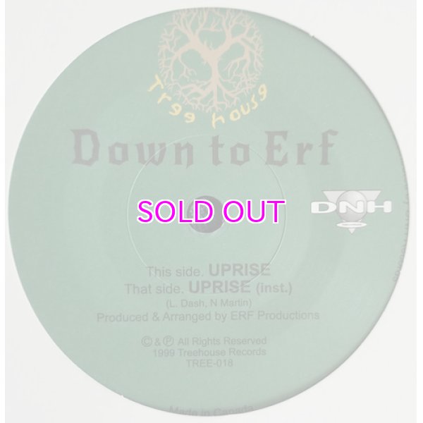 画像1: Down To Erf / Uprise 7inch   (1)