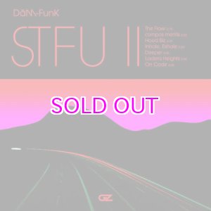 画像: DAM-FUNK / STFU II 