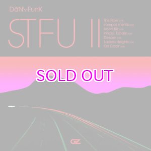 画像: DAM-FUNK / STFU II