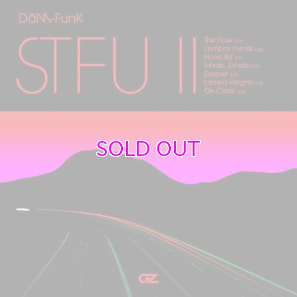 画像1: DAM-FUNK / STFU II  (1)