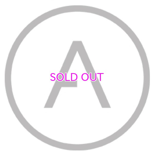 画像6: Article One Murray Sunglasses (6)