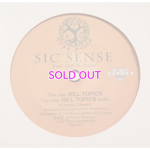 画像1: Sic Sense ‎– Hill Topics  7inch   (1)