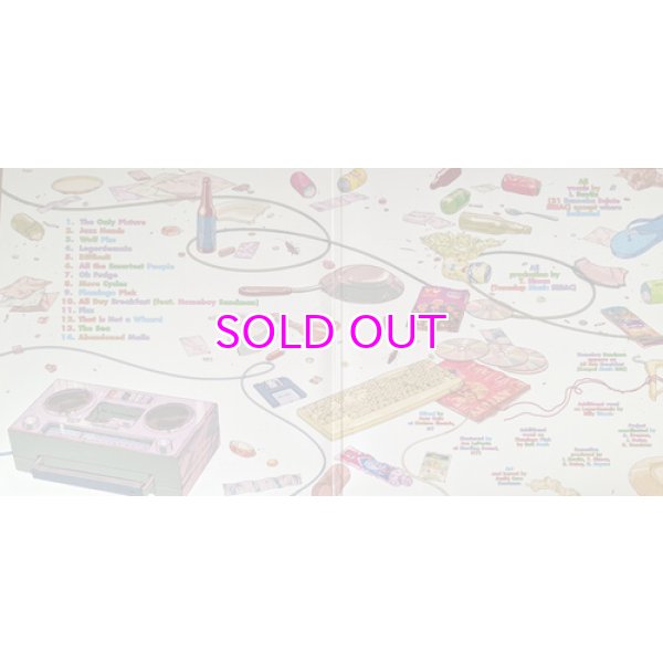 画像3: AESOP ROCK & BLOCKHEAD / GARBOLOGY "LP" (randomly colored vinyl) (3)