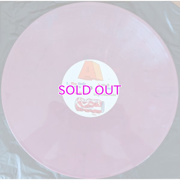 画像4: AESOP ROCK & BLOCKHEAD / GARBOLOGY "LP" (randomly colored vinyl) (4)