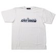 画像1: STILL DIGGIN' "CLASSICAL LOGO" TEE (1)